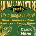 Animal Adventures - Click Here!